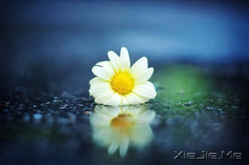 早安心语：让过去的都过去 (2)
