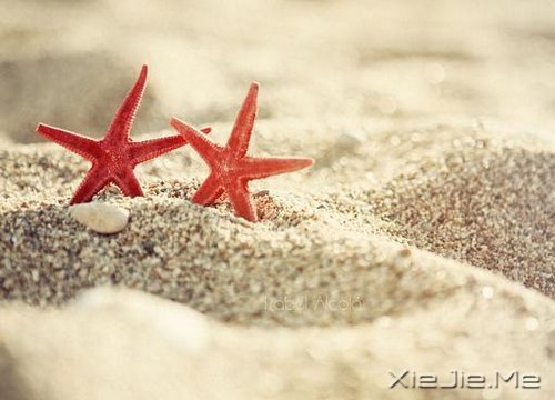 早安心语：让过去的都过去 (6)
