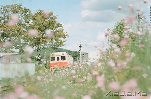 早安心语：只要你想，随时都可以开始 (4)