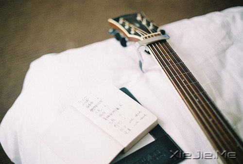 早安心语：只要你想，随时都可以开始 (12)