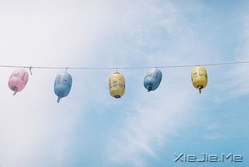 早安心语：淡然，是人生的一种成长 (1)
