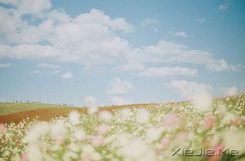 早安心语：淡然，是人生的一种成长 (6)