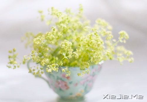 早安心语：淡然，是人生的一种成长 (2)