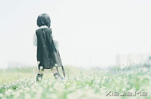 早安心语：淡然，是人生的一种成长 (5)