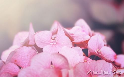 晚安心语：生活就是生下来，活下去 (8)