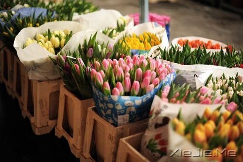 晚安心语：生活就是生下来，活下去 (9)