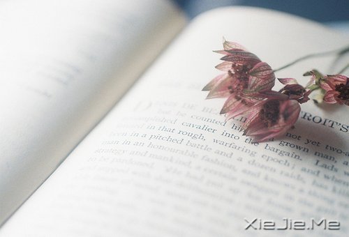 早安心语：有些谎言，美丽的让你不忍揭穿 (5)
