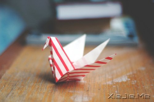 早安心语：有些谎言，美丽的让你不忍揭穿 (7)