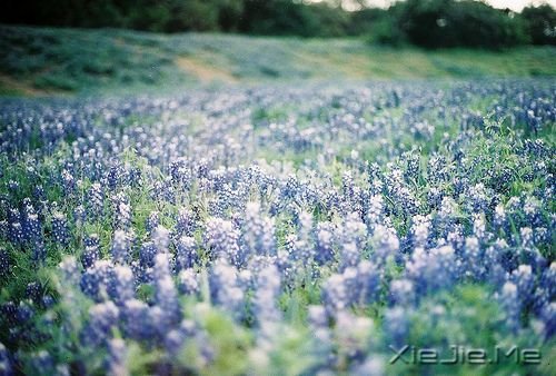 晚安心语：输什么也不能输了心情 (2)