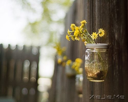 晚安心语：最暗的夜，才会看见最美的星光 (5)