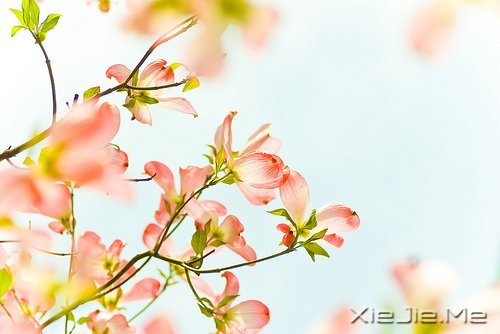 屈膝也不能让爱情保鲜 