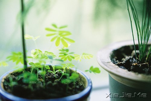 文字：你得知道自己究竟要什么