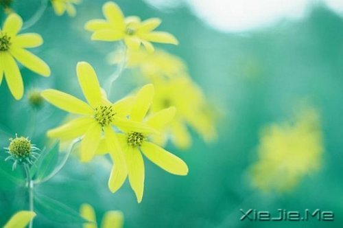 相信才会靠近，请成为自己世界里的英雄