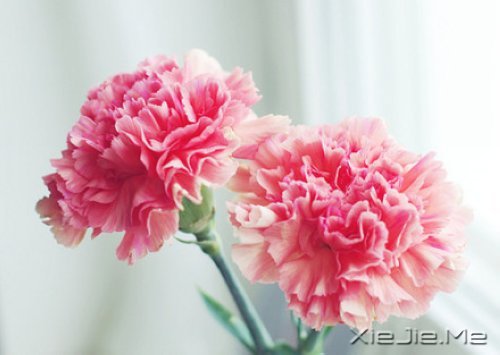 读懂人生，富有哲理的座右铭 (1)