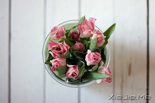 读懂人生，富有哲理的座右铭 (2)