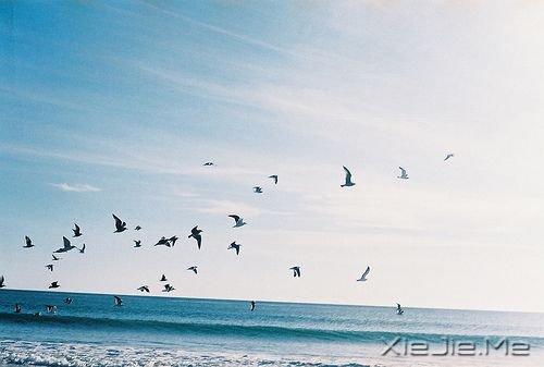 励志文章：拥有梦想的人不做选择题，他们只做证明题