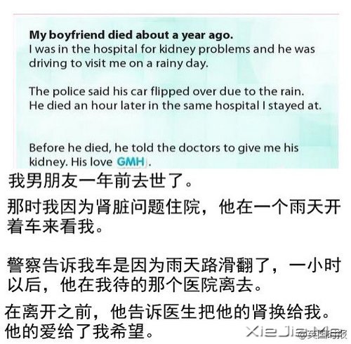 给我希望，15个温暖的小故事 (3)