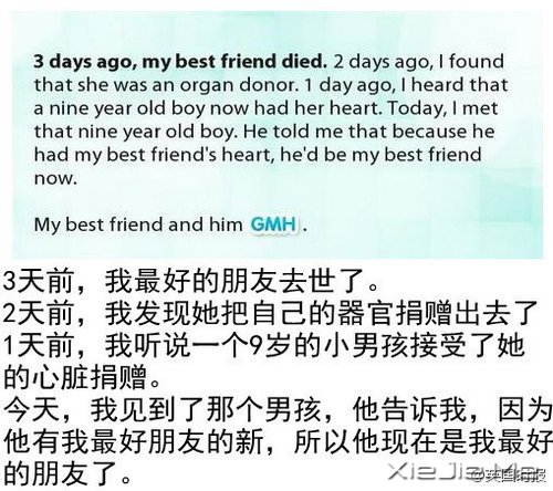 给我希望，15个温暖的小故事 (7)