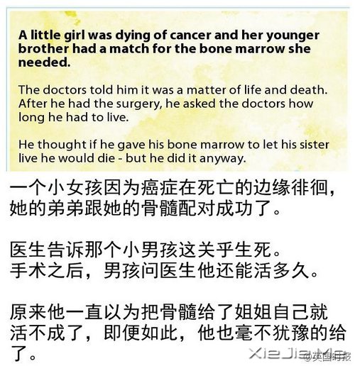 给我希望，15个温暖的小故事 (12)