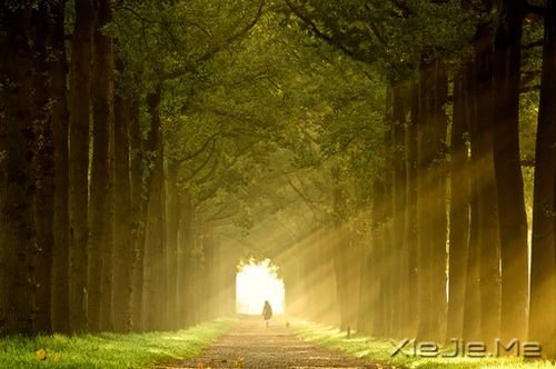 人是活给自己看的，哪怕双脚磨破也要一直走下去