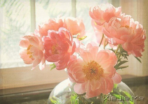 你真正需要的，是在时间里学会长大
